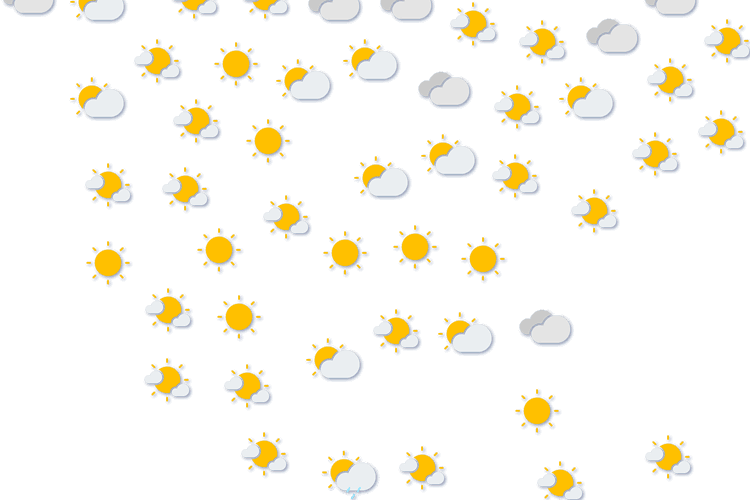 Forecast