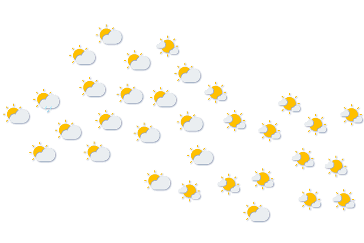 Forecast