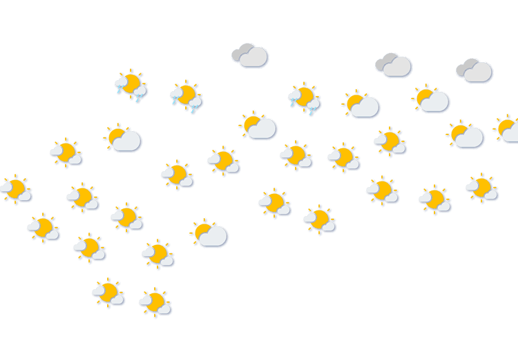 Forecast
