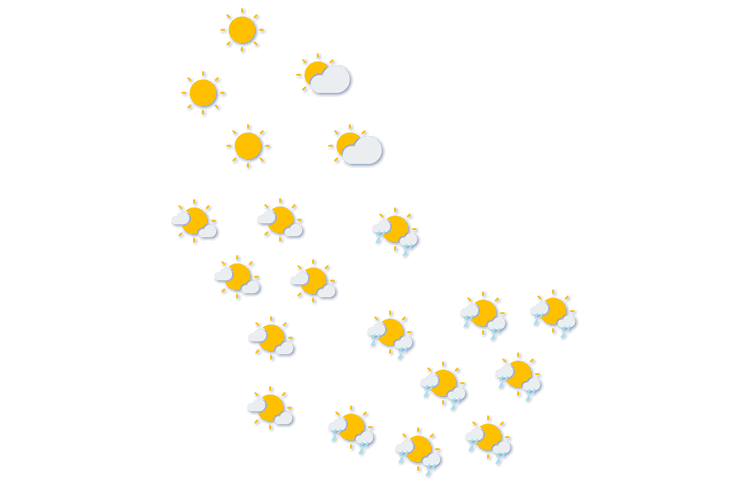Forecast