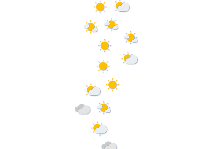 Forecast