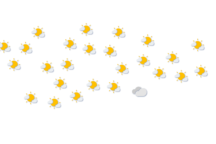 Forecast