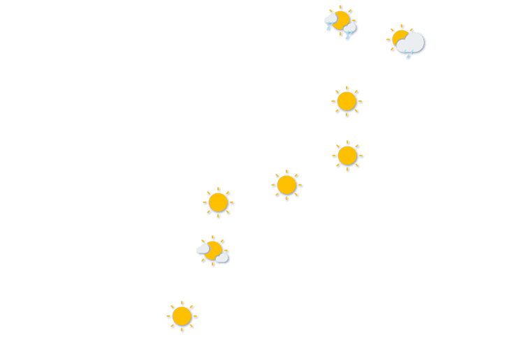 Forecast