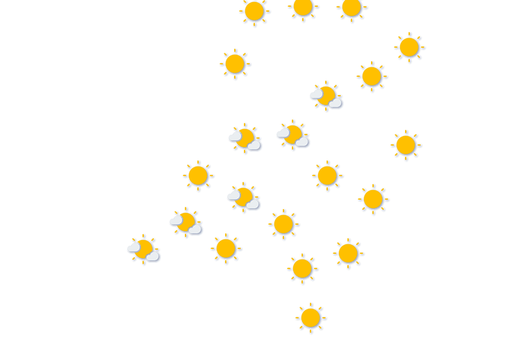 Forecast