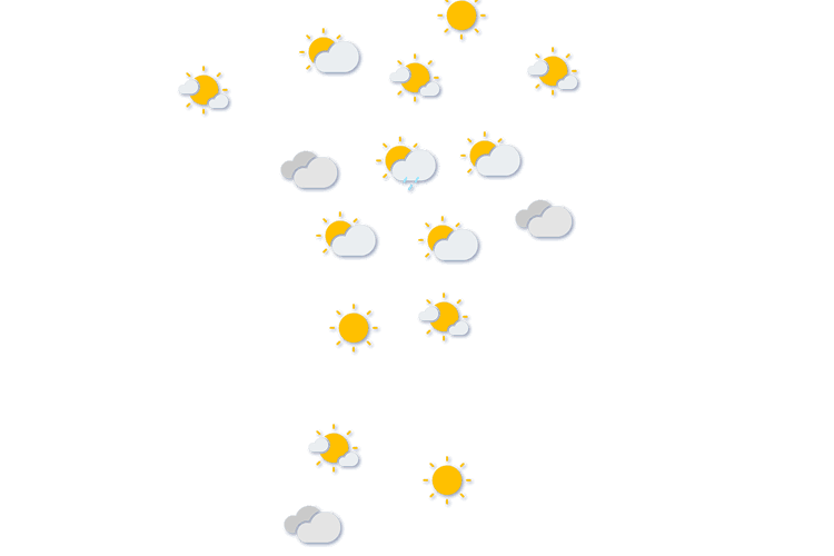 Forecast