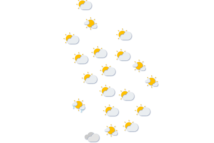 Forecast