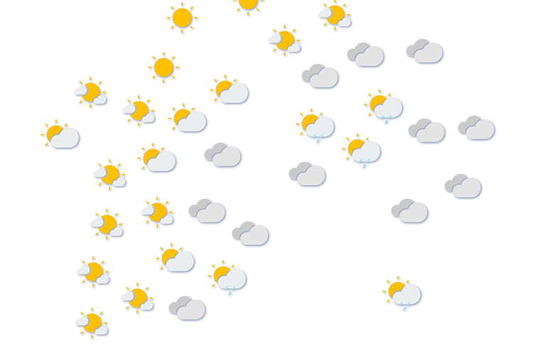 Forecast