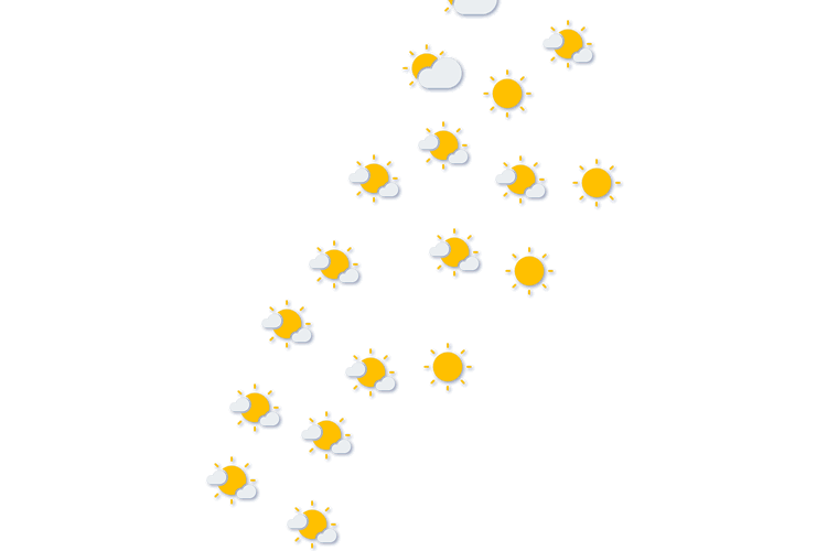 Forecast