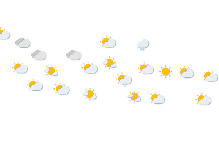 Forecast
