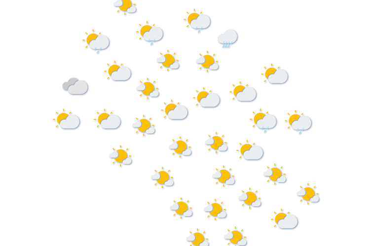 Forecast