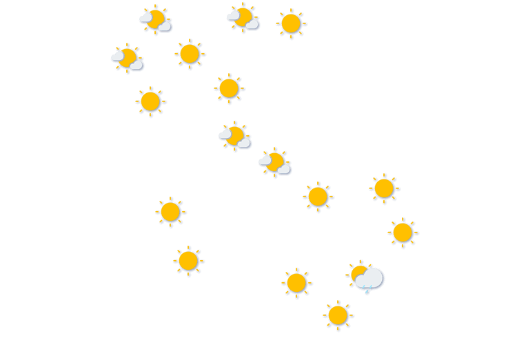 Forecast