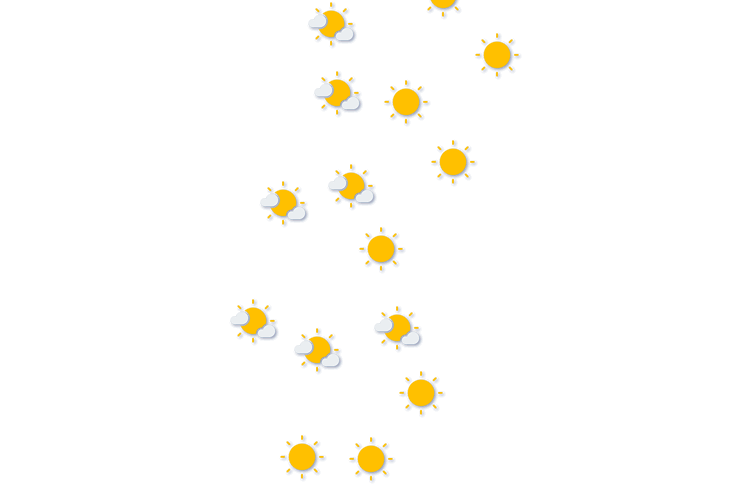 Forecast