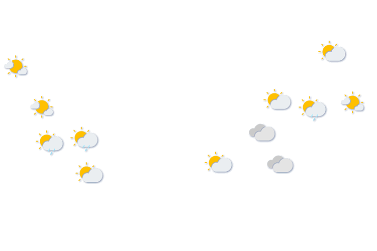 Forecast