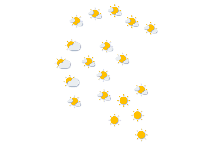 Forecast