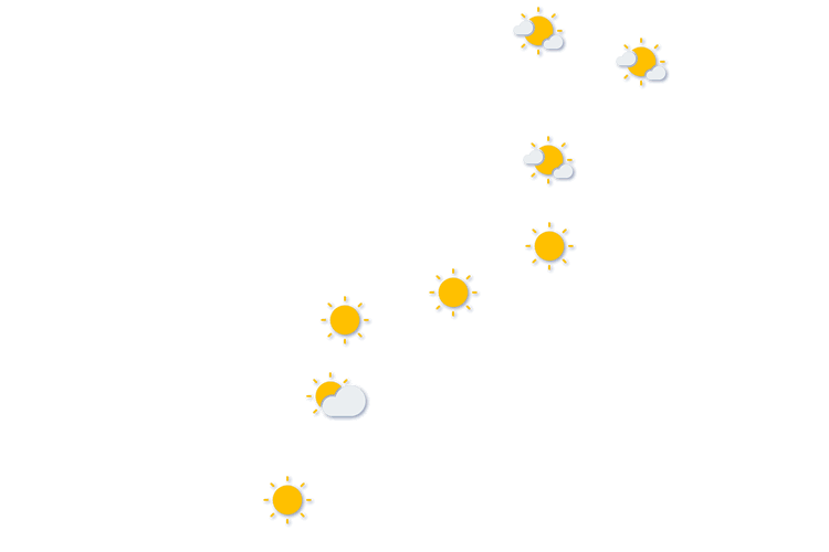 Forecast