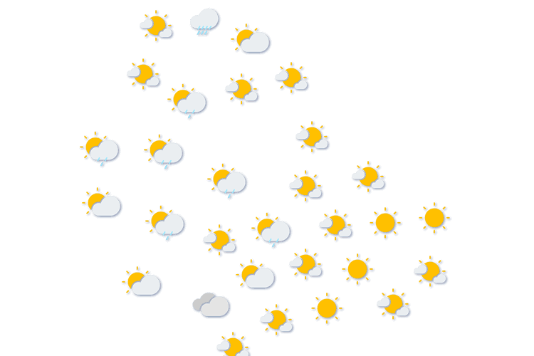 Forecast