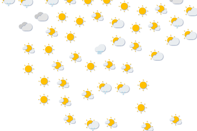 Forecast