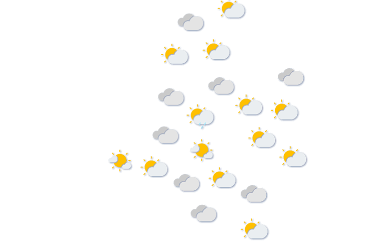 Forecast