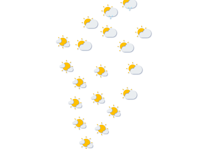 Forecast