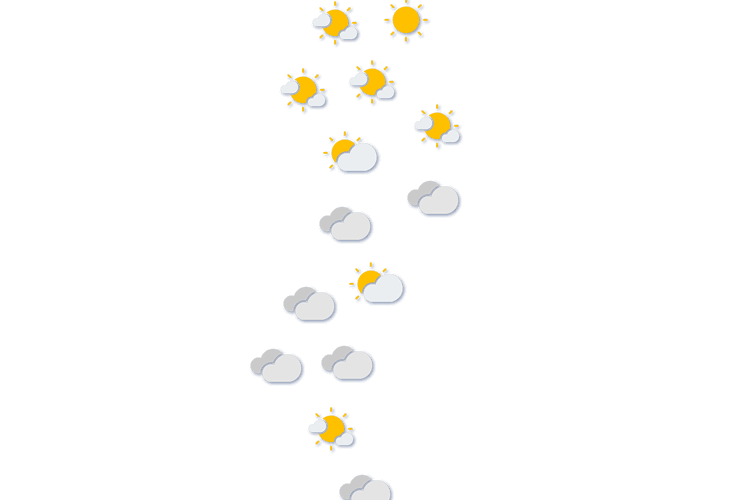 Forecast