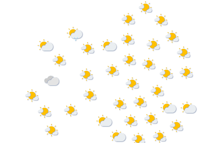 Forecast