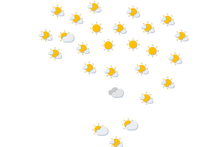Forecast