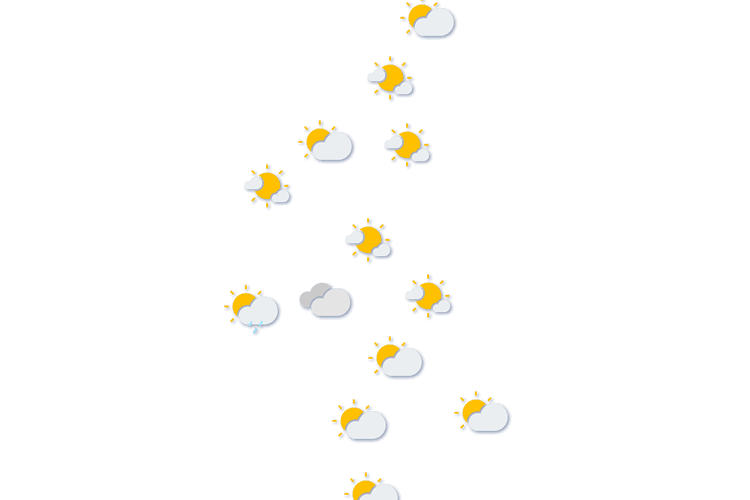 Forecast