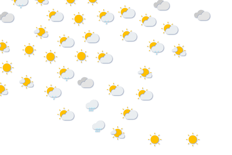 Forecast