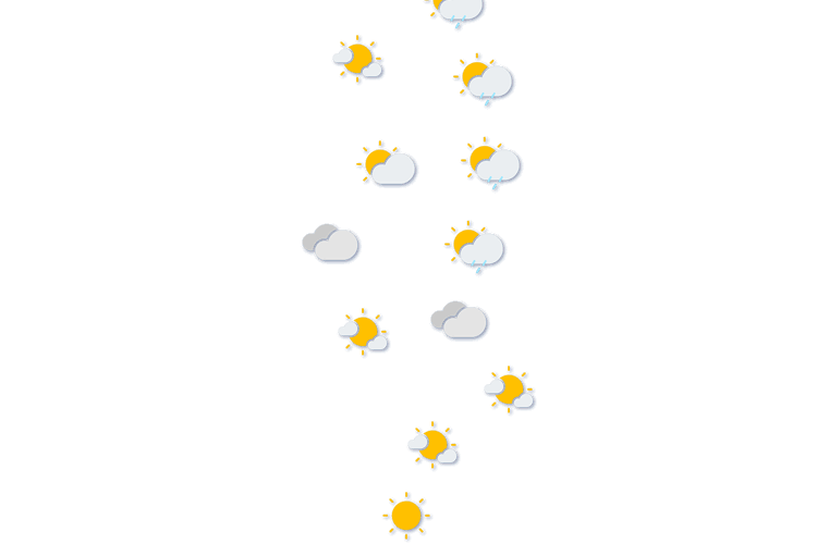 Forecast