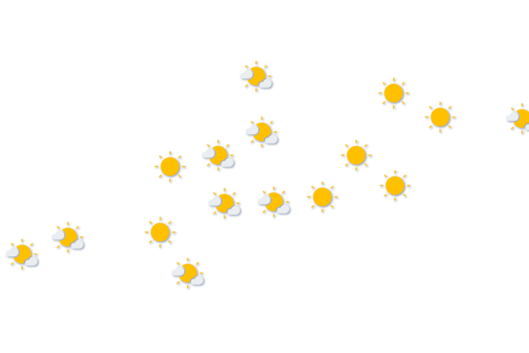 Forecast