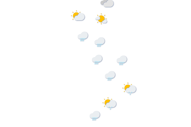 Forecast