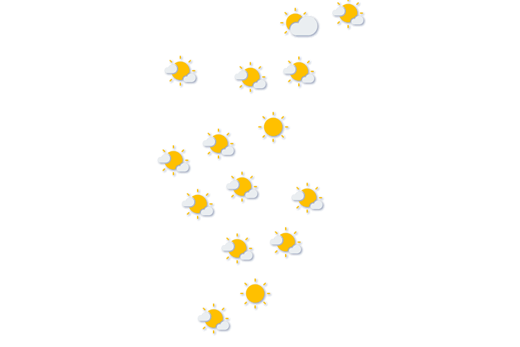 Forecast