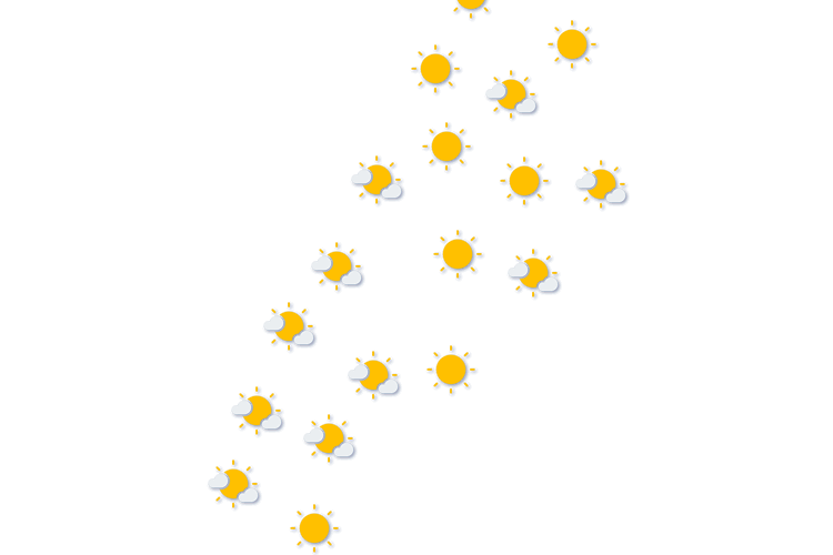 Forecast
