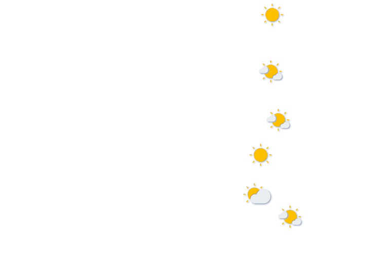 Forecast