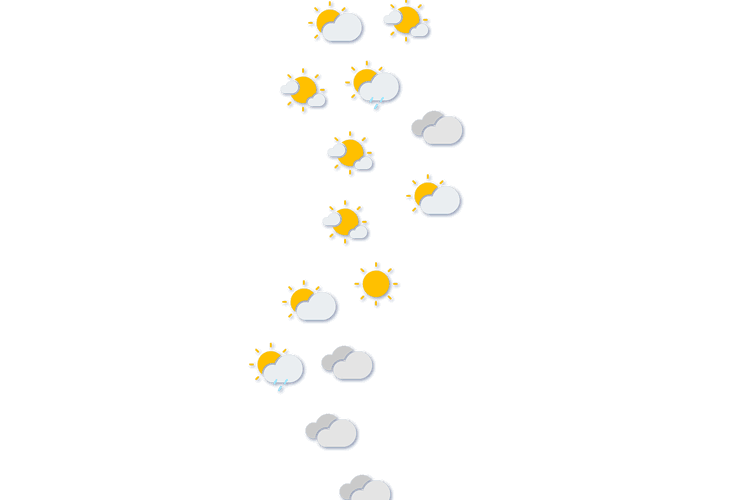 Forecast