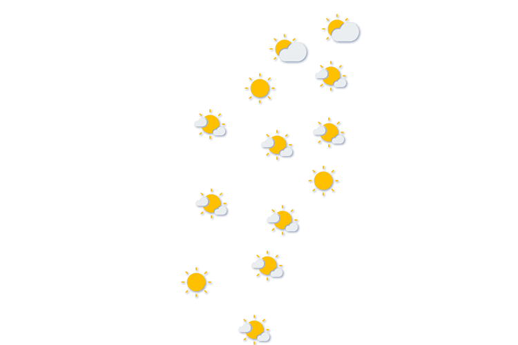 Forecast