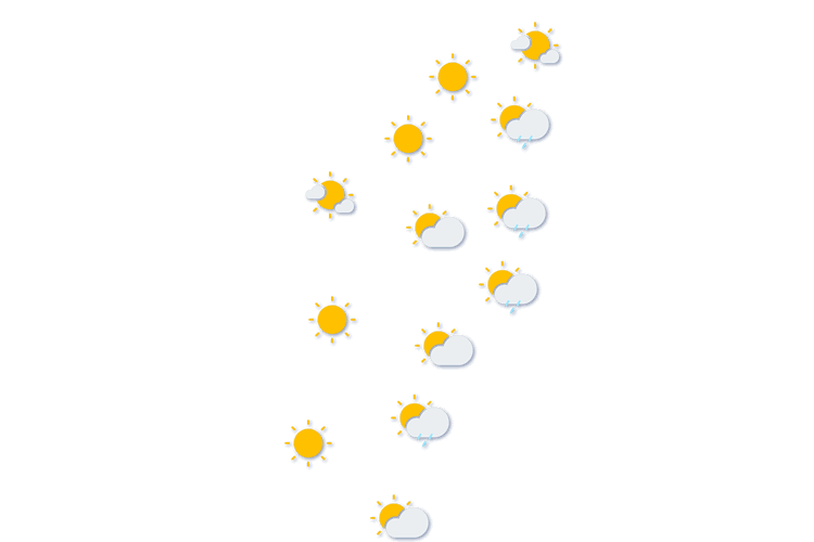 Forecast