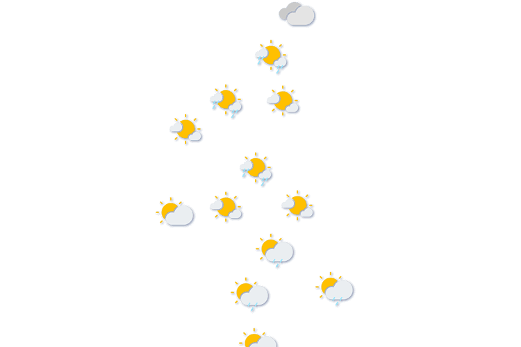 Forecast
