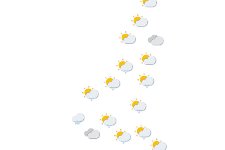 Forecast