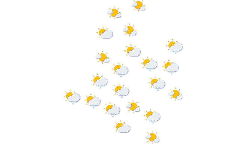 Forecast