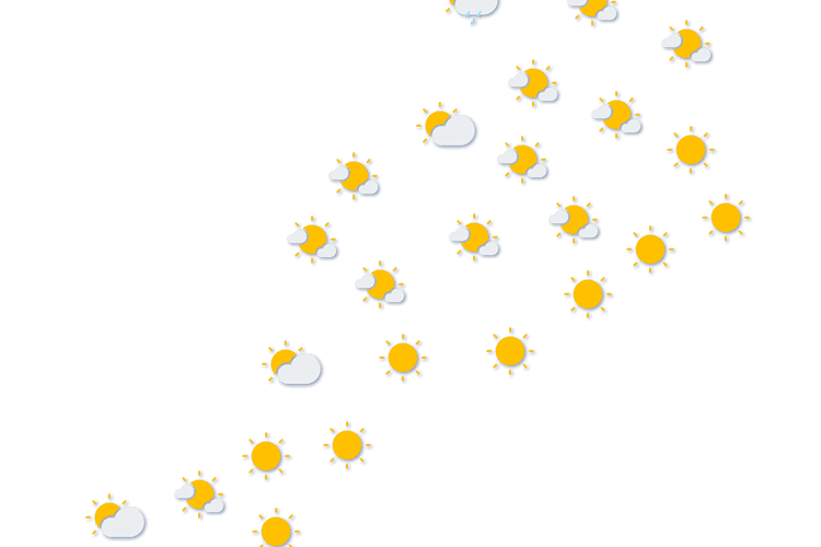 Forecast