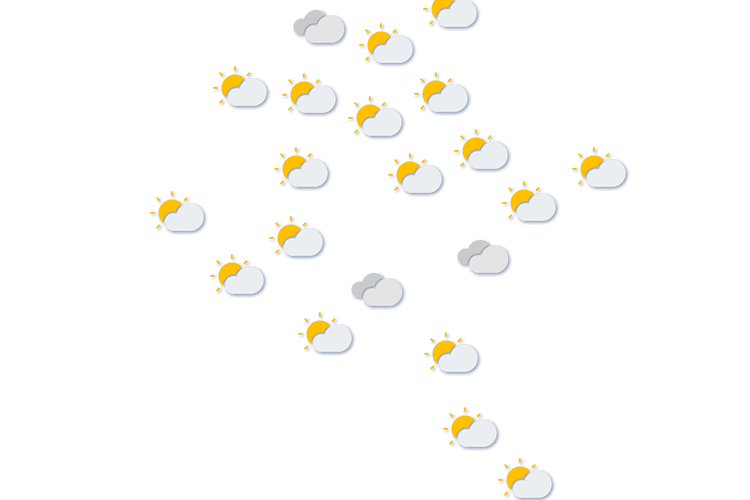 Forecast