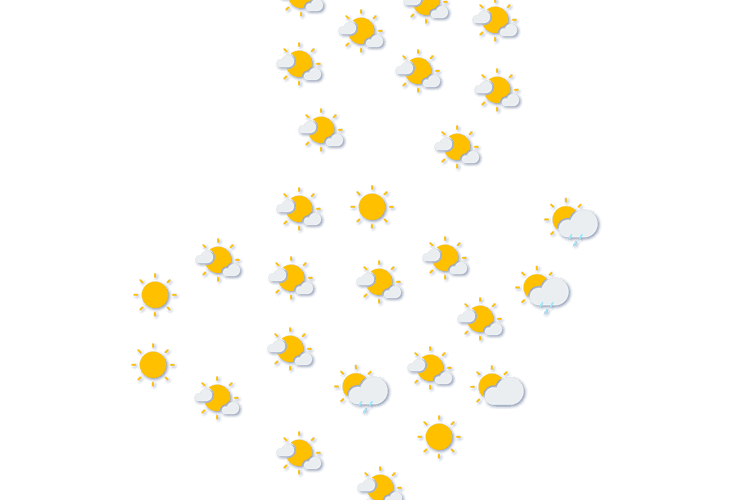 Forecast
