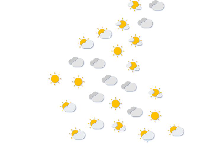 Forecast