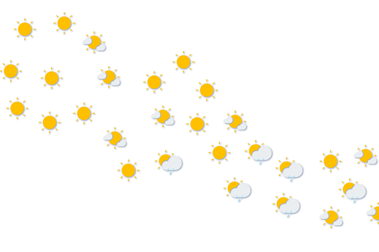 Forecast