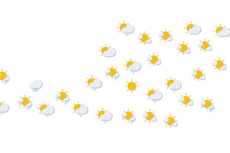 Forecast