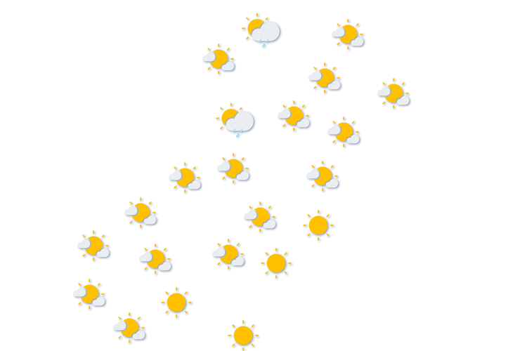 Forecast