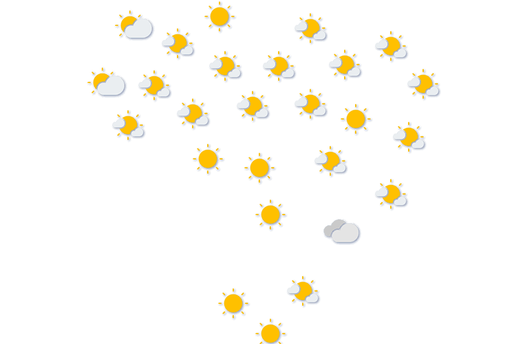 Forecast