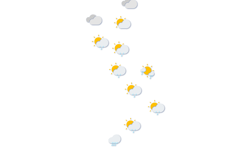 Forecast
