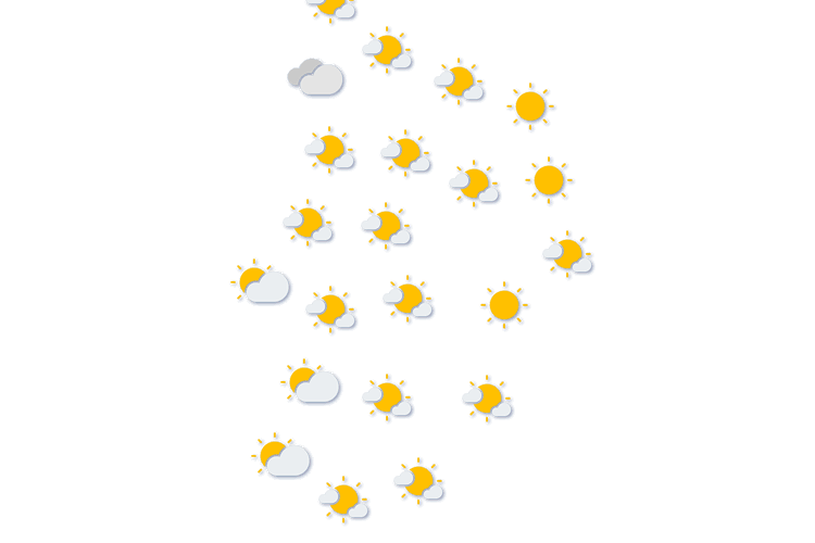 Forecast